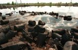 Lutte anti-pollution, les grandes entreprises font des efforts