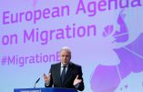 Le Commissaire européen à l’immigration veut imposer par tous les moyens le Grand Remplacement