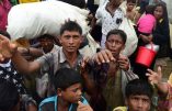 Le bilan migratoire des pays d’Asie et d’Océanie en 2017