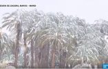 Neige dans le désert marocain! L’hiver n’a jamais été aussi rigoureux ni les taxes sur le réchauffement climatique… Vidéo