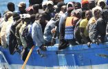 Allemagne : vacances dans la mère Patrie pour des ‘réfugiés’