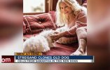 Caprice de star : clonage de chien pour Barbra Streisand
