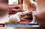Caprice de star : clonage de chien pour Barbra Streisand