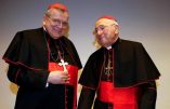 Retour sur le congrès « Où va l’Église ? » : vers un schisme dans l’Église conciliaire ?