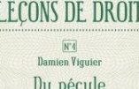 Du pécule au capital (Damien Viguier)