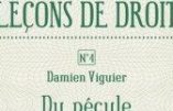 Du pécule au capital (Damien Viguier)