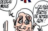 Rhône-Alpes : la région gèle ses coopérations avec la Russie