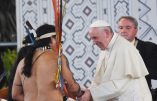 Synode en Amazonie : porte ouverte au ministère des femmes et des hommes mariés ?