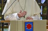 Le pape François en voyage vers l’unité… à Genève la calviniste