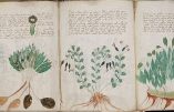 Et le Voynich a tenu le « génie juif » en échec…