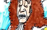 Ignace – Macron à Versailles
