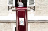 Nouvel appel du pape François en faveur des migrants