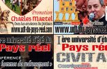 Formez-vous pour agir pour la France et la Chrétienté