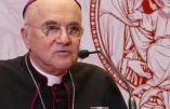 Mgr Vigano, le retour…