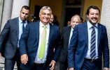 Orban oppose à Macron une Déclaration sur l’avenir de l’Europe signée par seize partis siégeant au Parlement européen