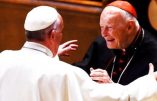 Commission sur les « abus sexuels » : le Vatican freine les mesures des évêques américains