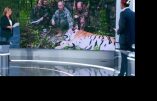 Fake News – Le bobard de Valérie Astruc en plein JT de France2