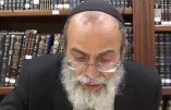Le rabbin, le goy, la pédophilie et la zoophilie…