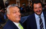 Axe anti-immigration Rome-Budapest : « ensemble nous fermerons les débarquements »