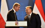 Le Premier ministre tchèque soutient Viktor Orban et annonce la fin de carrière des eurodéputés de son parti qui ont voté les sanctions contre la Hongrie