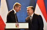 Le Premier ministre tchèque soutient Viktor Orban et annonce la fin de carrière des eurodéputés de son parti qui ont voté les sanctions contre la Hongrie