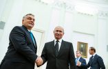 Nouveaux accords de coopération entre Viktor Orban et Vladimir Poutine