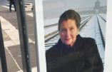 Intox – Portraits de Simone Veil vandalisés ? De simples rayures sur des plexiglas qui permettent de hurler à l’antisémitisme…