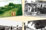 Novembre 2018 – « Les métiers ruraux entre 1850 et 1900 »