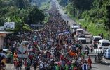 Trump fera appel à l’armée pour empêcher les immigrés illégaux d’entrer aux Etats-Unis