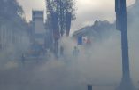 Au milieu des gilets jaunes à Paris