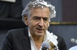 Michel Onfray se paye la tête de BHL à propos des Gilets Jaunes