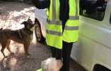 Brigitte Bardot soutient les Gilets Jaunes