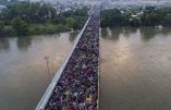 Caravane de migrants :  Trump menace d’utiliser « la force létale »