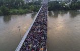 Etats-Unis : la caravane des désespérés, une manipulation des lobbies immigrationnistes