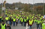 Le Parlement européen se soucie des 800 arrestations au Soudan, mais pas des 5000 gilets jaunes français placés en garde-à-vue !