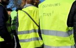 Qui sont vraiment les Gilets Jaunes ?