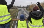 Terre et Famille avec les Gilets Jaunes contre le mensonge de la « transition écologique »