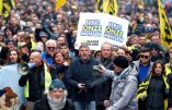 Bruxelles – Des milliers de manifestants contre le Pacte de Marrakech