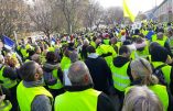 Acte VI à Toulon – Enorme foule derrière la banderole “Nous sommes le peuple de France”