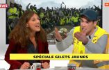 Elise Fajgeles, député LREM, avoue aux Gilets Jaunes qu’elle ne sait pas quel est le montant du SMIC