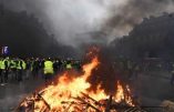Gilets jaunes : Marine Le Pen tient le gouvernement pour responsable de la situation insurrectionnelle à Paris