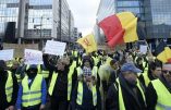 Le mouvement Nation parmi les Gilets Jaunes belges