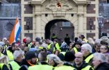 Manifestations de Gilets Jaunes aux Pays-Bas