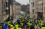 Acte VIII à Rouen – La foule des gilets au rendez-vous mais LCI ferme les yeux