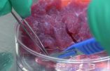 La gastronomie du futur – Vous prendrez bien un peu de steak in vitro présenté avec réalité augmentée…