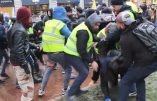 Vincent Lapierre tabassé par des antifas durant l’acte XII à Toulouse