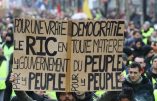 Le RIC, chimère démocratique pour sauver la République ?
