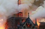 Notre-Dame-de-Paris brûle et certains se réjouissent