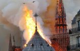 Symbole de la France chrétienne, Notre-Dame-de-Paris brûle