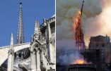Notre-Dame de Paris : Plus de mille professionnels du patrimoine contre Macron !